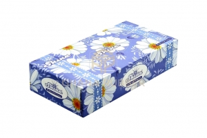 Nurturing Everyday Moments with Facial Tissue Paper and Wet Wipes